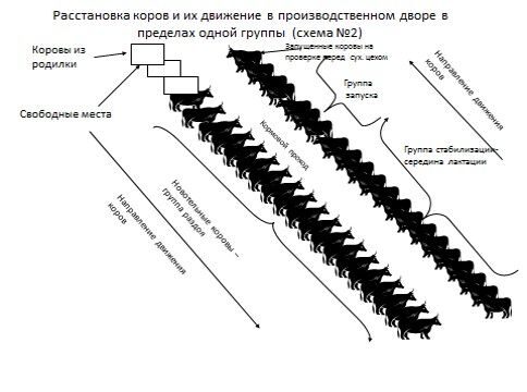 Логинова4