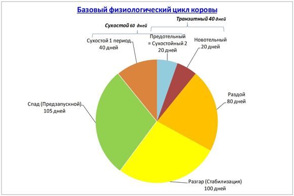 Логинова1